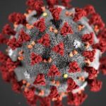 Corona-Virus Update